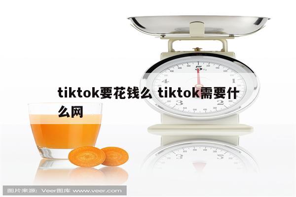 tiktok要花钱么 tiktok需要什么网