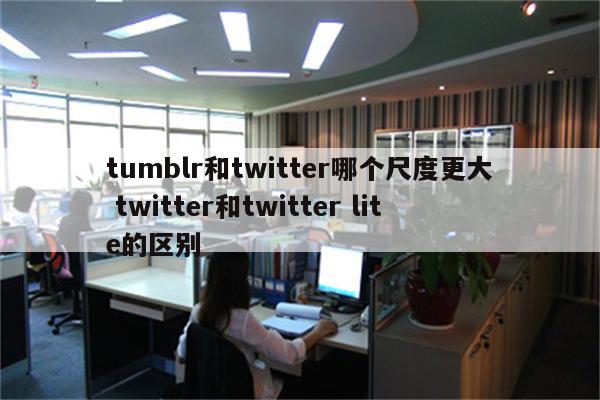 tumblr和twitter哪个尺度更大 twitter和twitter lite的区别