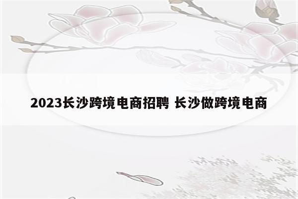 2023长沙跨境电商招聘 长沙做跨境电商