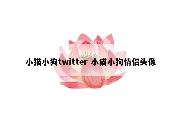小猫小狗twitter 小猫小狗情侣头像