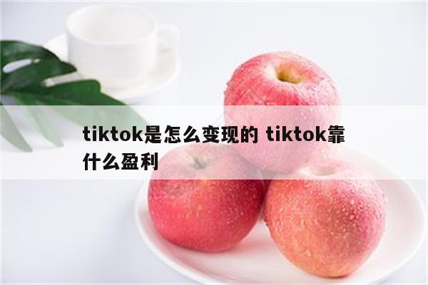 tiktok是怎么变现的 tiktok靠什么盈利