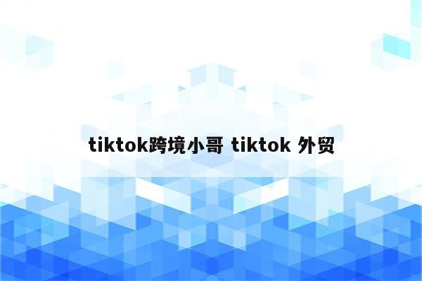 tiktok跨境小哥 tiktok 外贸