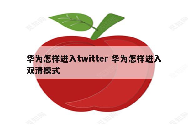 华为怎样进入twitter 华为怎样进入双清模式
