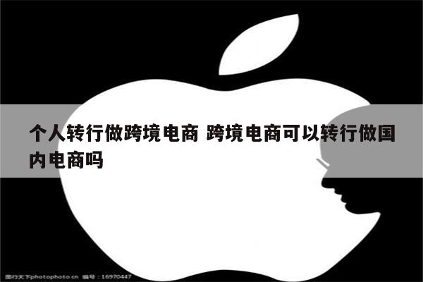 个人转行做跨境电商 跨境电商可以转行做国内电商吗