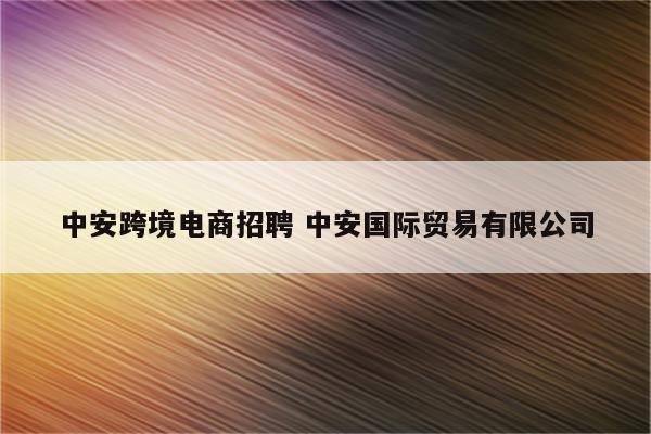 中安跨境电商招聘 中安国际贸易有限公司