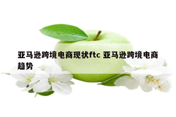 亚马逊跨境电商现状ftc 亚马逊跨境电商趋势