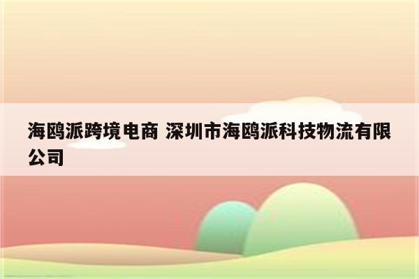 海鸥派跨境电商 深圳市海鸥派科技物流有限公司