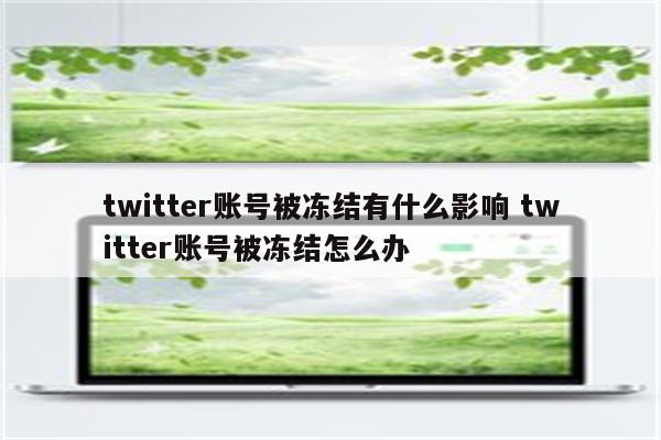 twitter账号被冻结有什么影响 twitter账号被冻结怎么办