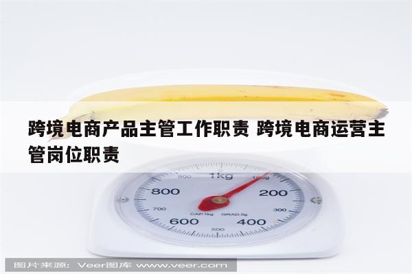 跨境电商产品主管工作职责 跨境电商运营主管岗位职责