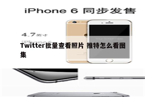 Twitter批量查看照片 推特怎么看图集