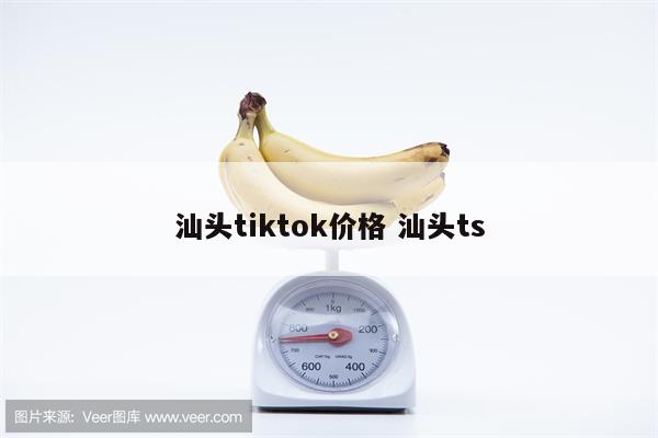 汕头tiktok价格 汕头ts