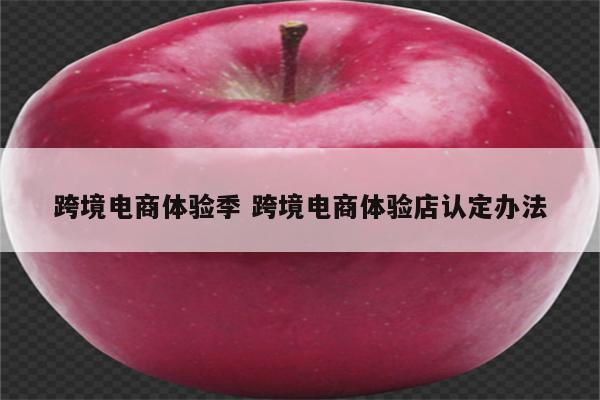 跨境电商体验季 跨境电商体验店认定办法