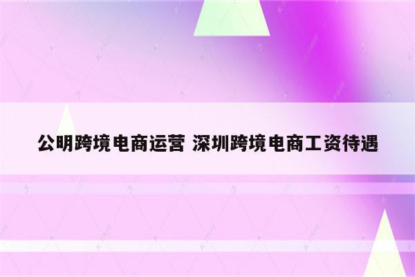 公明跨境电商运营 深圳跨境电商工资待遇
