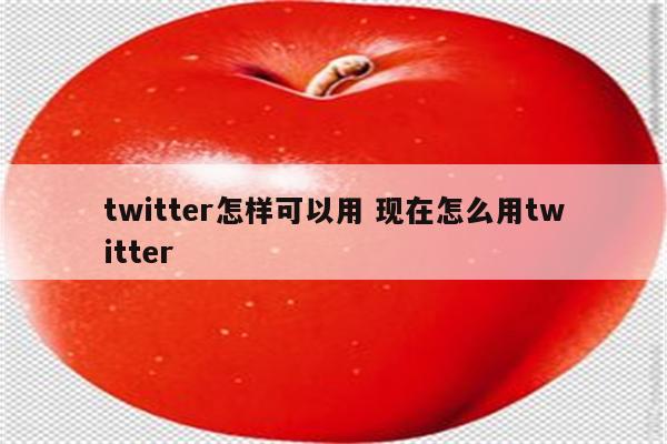 twitter怎样可以用 现在怎么用twitter
