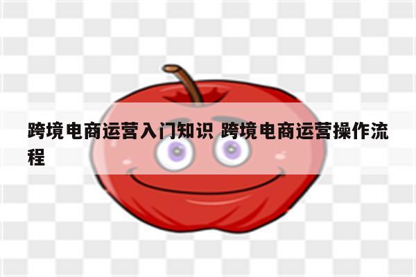 跨境电商运营入门知识 跨境电商运营操作流程