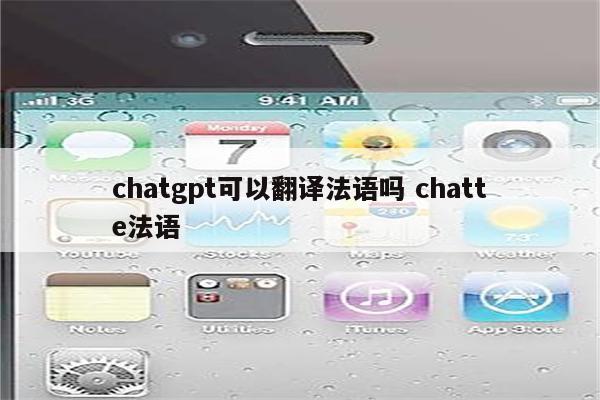 chatgpt可以翻译法语吗 chatte法语