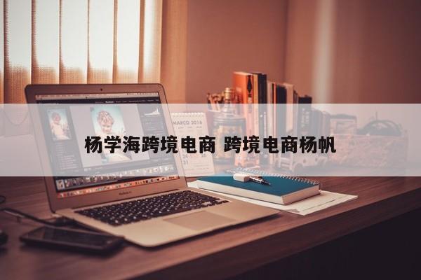 杨学海跨境电商 跨境电商杨帆