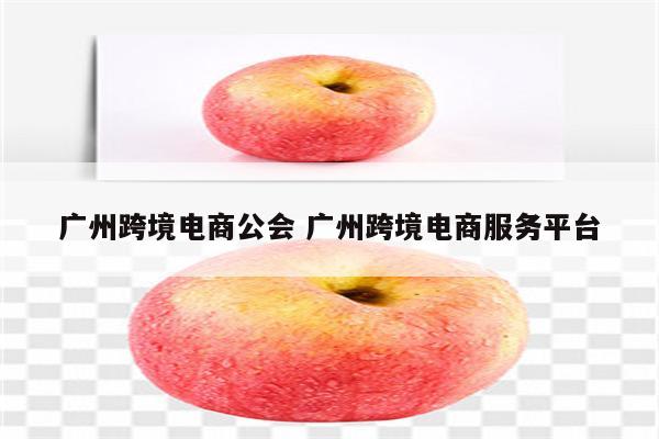 广州跨境电商公会 广州跨境电商服务平台