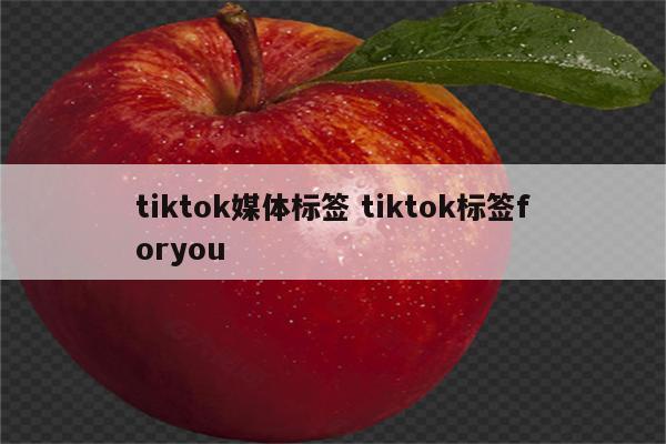 tiktok媒体标签 tiktok标签foryou