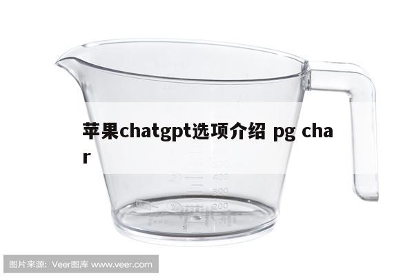 苹果chatgpt选项介绍 pg char