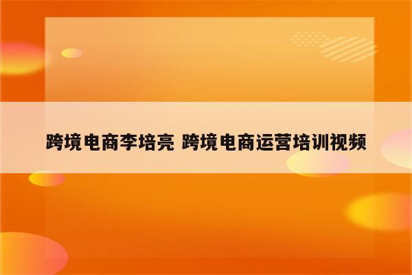 跨境电商李培亮 跨境电商运营培训视频