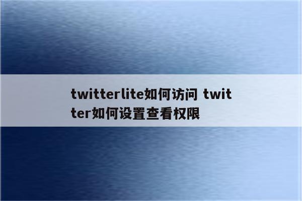 twitterlite如何访问 twitter如何设置查看权限