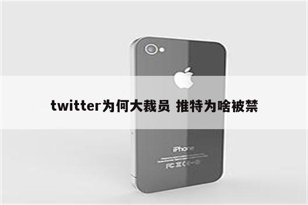 twitter为何大裁员 推特为啥被禁
