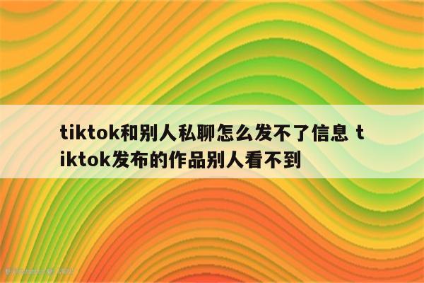 tiktok和别人私聊怎么发不了信息 tiktok发布的作品别人看不到