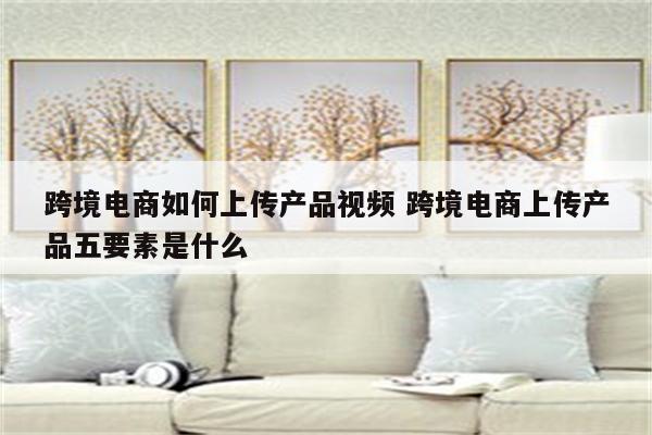 跨境电商如何上传产品视频 跨境电商上传产品五要素是什么