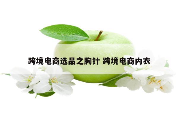 跨境电商选品之胸针 跨境电商内衣