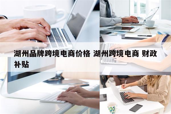 湖州品牌跨境电商价格 湖州跨境电商 财政补贴