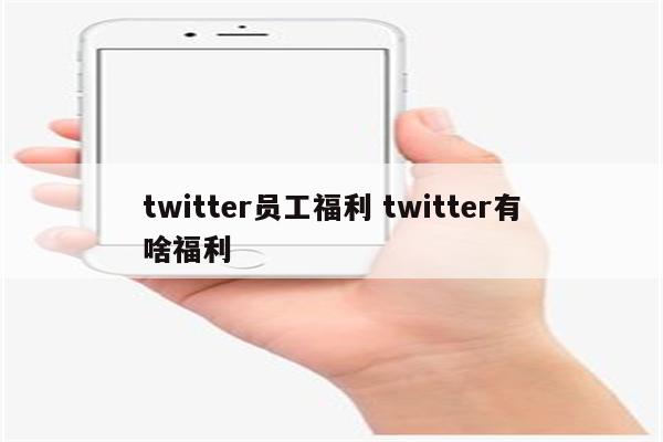 twitter员工福利 twitter有啥福利