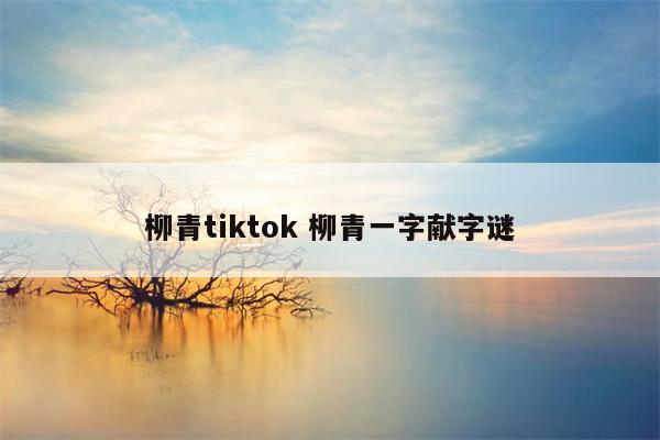 柳青tiktok 柳青一字献字谜