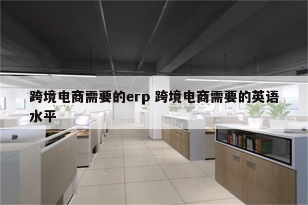 跨境电商需要的erp 跨境电商需要的英语水平