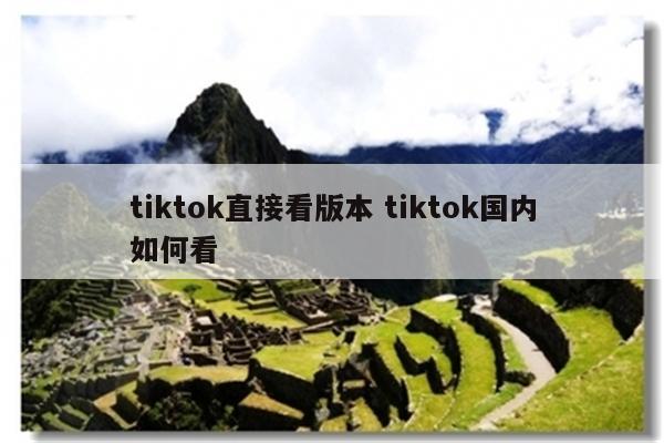 tiktok直接看版本 tiktok国内如何看