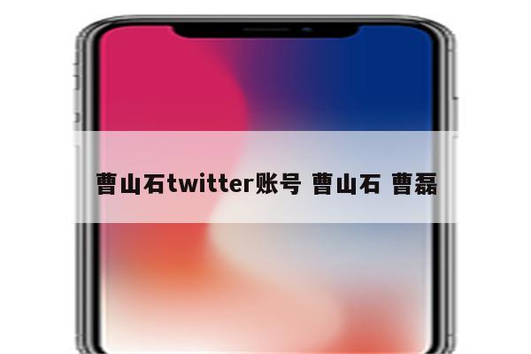 曹山石twitter账号 曹山石 曹磊