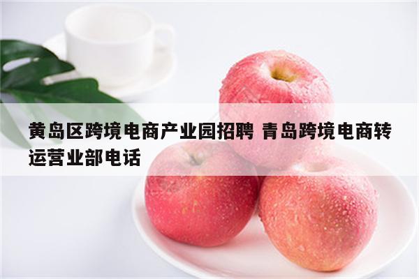 黄岛区跨境电商产业园招聘 青岛跨境电商转运营业部电话
