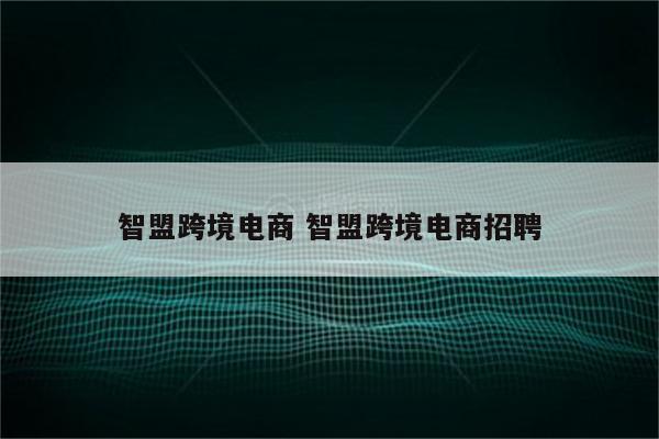智盟跨境电商 智盟跨境电商招聘