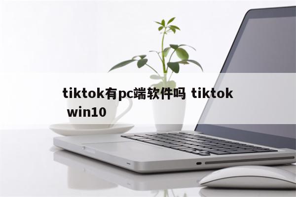 tiktok有pc端软件吗 tiktok win10