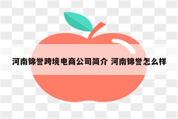 河南锦誉跨境电商公司简介 河南锦誉怎么样