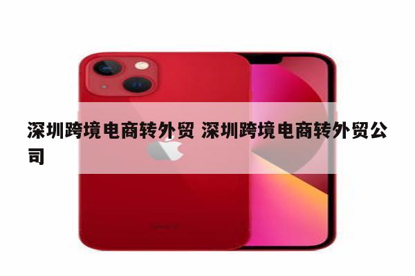 深圳跨境电商转外贸 深圳跨境电商转外贸公司