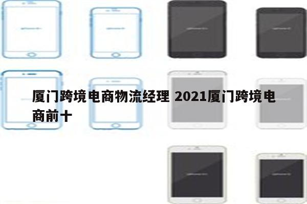 厦门跨境电商物流经理 2021厦门跨境电商前十