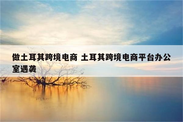 做土耳其跨境电商 土耳其跨境电商平台办公室遇袭