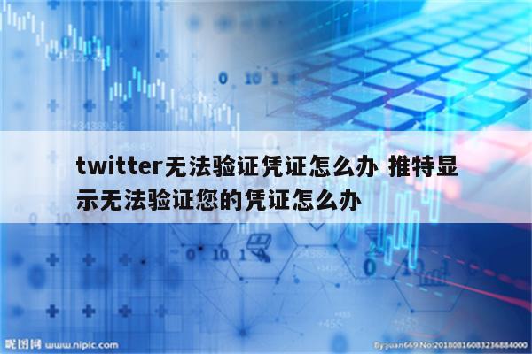 twitter无法验证凭证怎么办 推特显示无法验证您的凭证怎么办