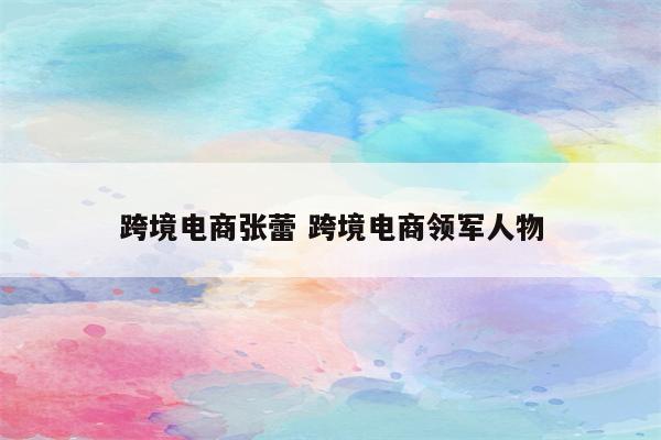 跨境电商张蕾 跨境电商领军人物