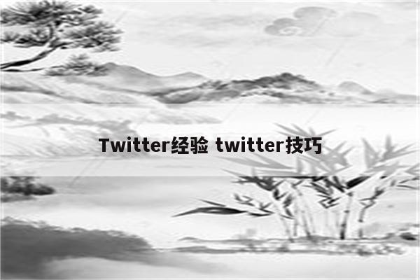 Twitter经验 twitter技巧
