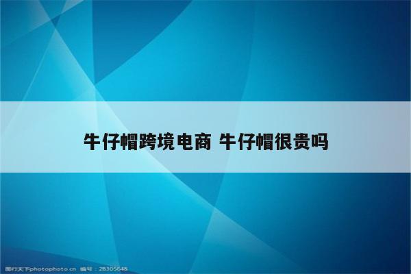 牛仔帽跨境电商 牛仔帽很贵吗