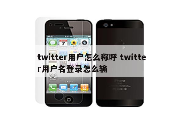 twitter用户怎么称呼 twitter用户名登录怎么输