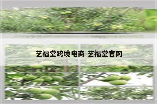 艺福堂跨境电商 艺福堂官网