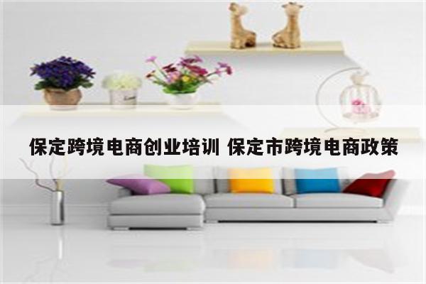 保定跨境电商创业培训 保定市跨境电商政策